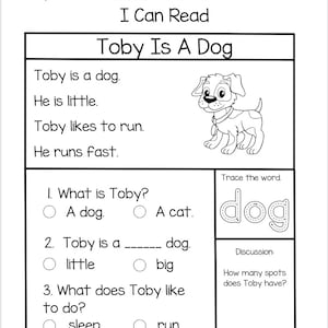 Easy Reading Passages - Etsy
