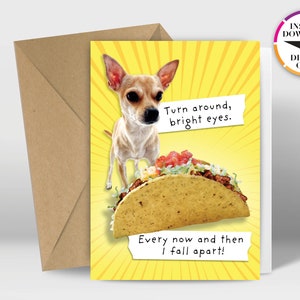 Sofort Download Geburtstagskarte | PDF Karte | Chihuahua | Taco | Einfach von zu Hause aus drucken | Lustige Karten