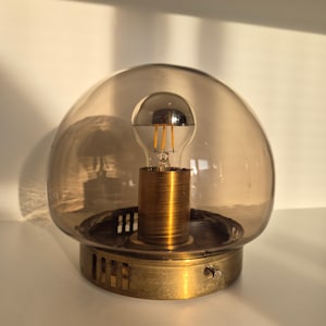1Vintage Ceiling or Wall Light/  Smoked Glass Lamp / Mid century Ceiling Light / MCM Ceiling Light / sconce light / flush mounth light