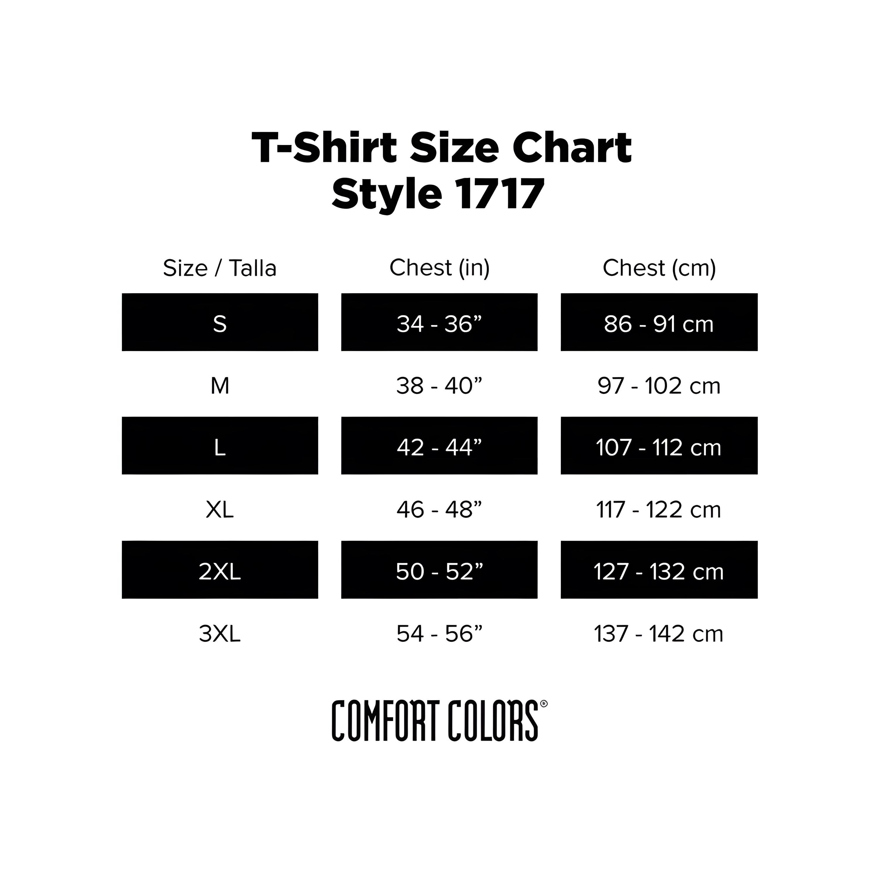 Comfort Colors Padme Amidala Shirt, Vintage Style Tee, Gift for TV