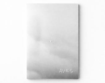 Aircraft Zine | Black and White Photography Zine | A5 Handmade Artist Book | “Aves”