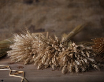 Dried rye bundle. 100 - 200 PC. ~ 55 CM long