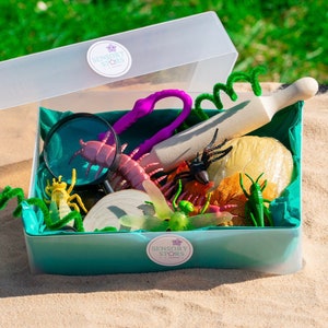 Op de afbeelding: Een turquoise plastic opbergdoos met een doorzichtig deksel, gevuld met verschillende zintuiglijke speelgoed, waaronder een vergrootglas, een deegroller, een insect en een groene pijpenrager. De doos heeft een sticker met de tekst "Sensory Stories".