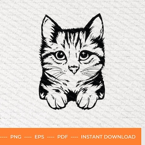 Cat SVG, cute cat svg, cute cat shirt, peeking cat svg, cat clipart, peeking pet face svg, paw svg, pet svg, pet lover svg, svg, PNG, PDF