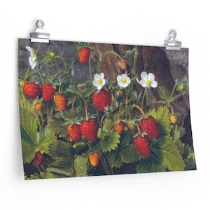 WILD STRAWBERRIES 18x12 Antique Strawberry Art Print Matte Poster Reproduction