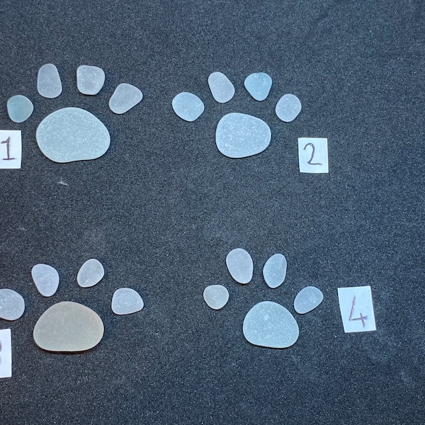 Seaglass Paw Print Cat Dog - beautiful set - gift idea