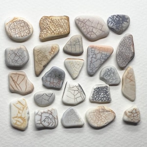 May include: A selection of small, irregularly shaped ceramic pieces in shades of white, beige, and grey. Each piece features a unique crackle pattern, creating a textured appearance. The arrangement is on a white surface, showcasing the variety of forms.