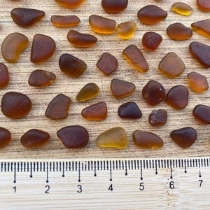 Puede incluir: Una colección de aproximadamente 40 pequeñas cuentas de vidrio de mar marrón. Las cuentas son de varias formas y tamaños, y están dispuestas sobre una superficie de madera con una regla para la escala. La regla mide 8 centímetros.