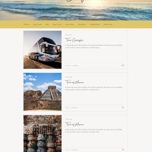 Wix Template for Travel Agents, Agencies & Tour Sites image 5