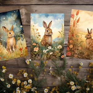 The forest hare- 3 Art prints 5x7&quot; , Fairytale Art