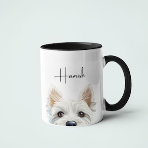 West Highland Terrier Puppies for sale in Ely, Cambridgeshire