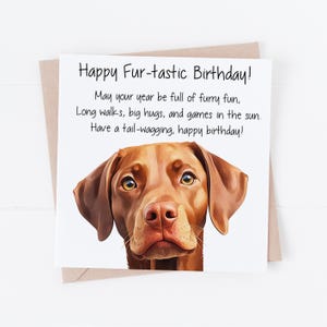 Carte d'anniversaire hongroise Vizsla, carte d'anniversaire hongroise pour amoureux des chiens Vizsla, carte d'anniversaire pour lui ou elle, carte d'anniversaire chien maman ou chien papa,