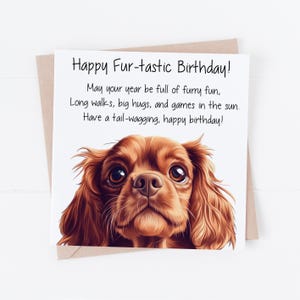 Jolie carte d'anniversaire Cavalier King Charles Spaniel, carte d'anniversaire pour amoureux des chiens, carte d'anniversaire pour lui ou elle, carte d'anniversaire chien maman ou chien papa,