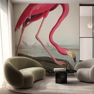 Flamingo Wallpaper | Stunning Birds of America Wall Mural