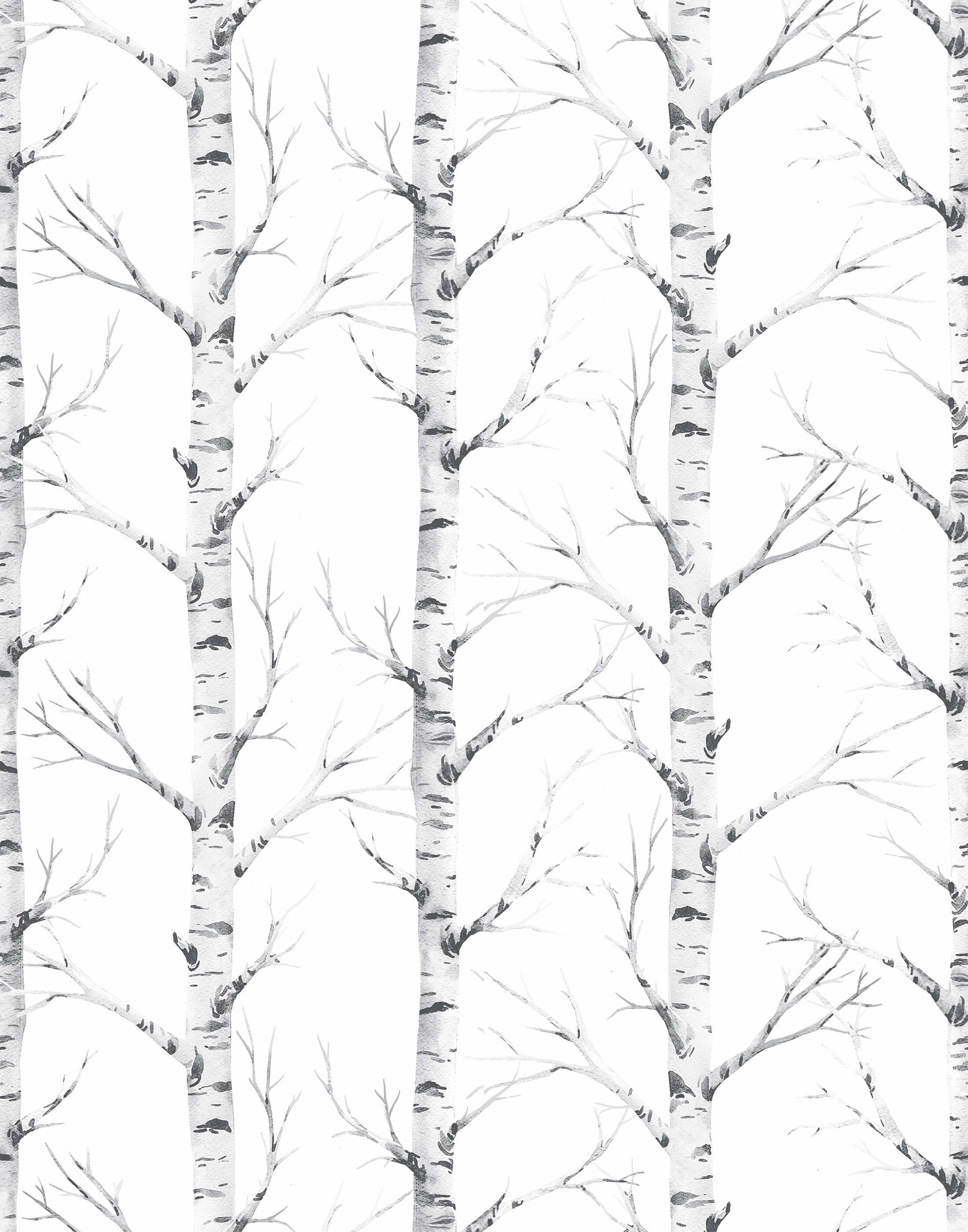 Tree Wallpaper Silver Birch Wallpaper Available in White & - Etsy UK