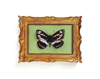 Butterfly Oil Painting Fine Art Print | Ornate Vintage Style Framed