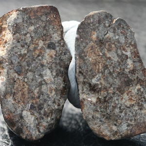 Meteorite 12.25 grams NWA 869 split in 2 and highly polished