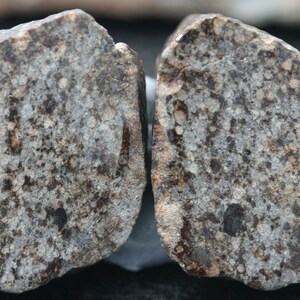 Meteorite NWA 869 15.27 grams split in 2 and highly polished