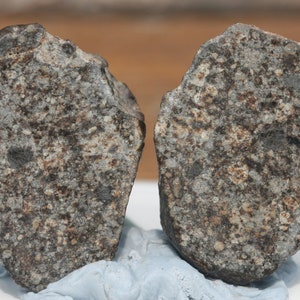 Meteorite 17.07 grams NWA 869 split in 2 and highly polished