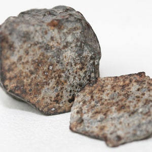 Meteorite NWA869 18.80 grams split in 2 and polished