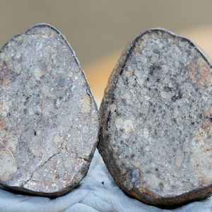 Meteorite 8.73 grams NWA 869 split in 2 and highly polished