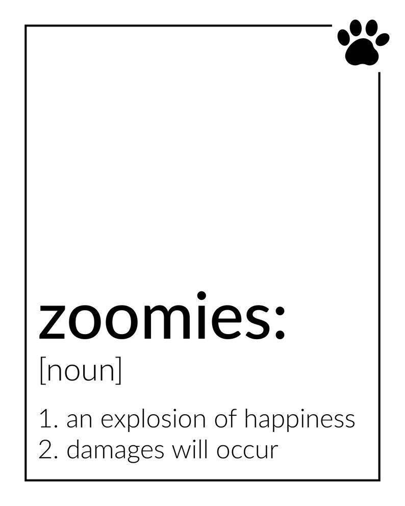 Zoomies Dictionary Definition Print Etsy