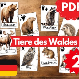 Flashcards TRILHAS DE ANIMAIS ANIMAIS DA FLORESTA 2 | Flashcards Montessori para aprendizagem independente | Aprendizagem para crianças | Flashcards para impressão | Cartões PDF