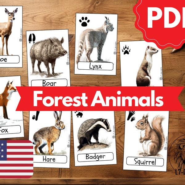 Flashcards ANIMAL TRACKS FOREST ANIMALS | Montessori flashcards for independent learning | Learning for children | Printable Flashcards | PDF cards