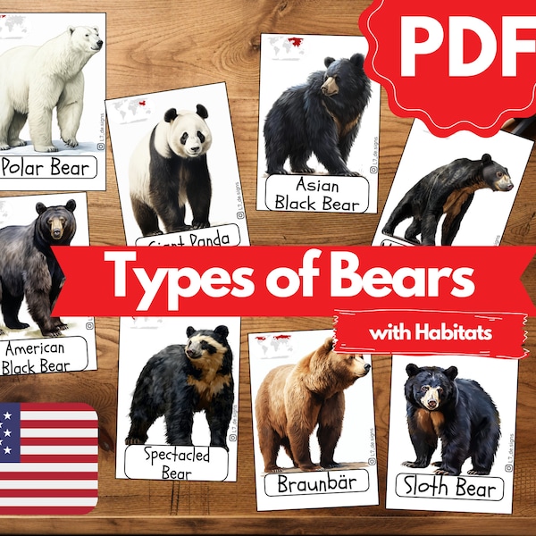 4-part learning cards BEARS and their HABITATS | Montessori cards for independent learning | Learning for children | Printable flashcards