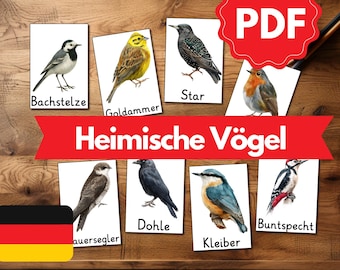 40 Lernkarten HEIMISCHE VÖGEL | Montessori Lernkarten zum selbstständigen lernen | Lernen für Kinder | Printable Flashcards | PDF Karten |