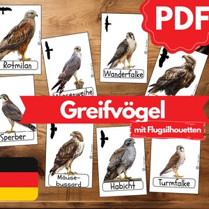 Lernkarten GREIFVÖGEL mit FLUGSILHOUETTEN | Montessori Lernkarten zum selbstständigen lernen | Lernen für Kinder | Printable Flashcards