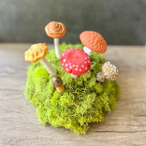 Kauwgompasta, champignons, amanita-champignontaarttoppers, taartdecoratie