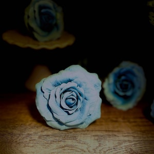 Blushing Blue Sugar Gumpaste Rose