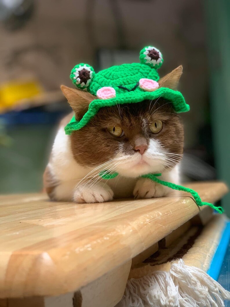 Frog Cat Hat Crochet Hat Cat Cute Frog Crocheted Hat Cat Etsy