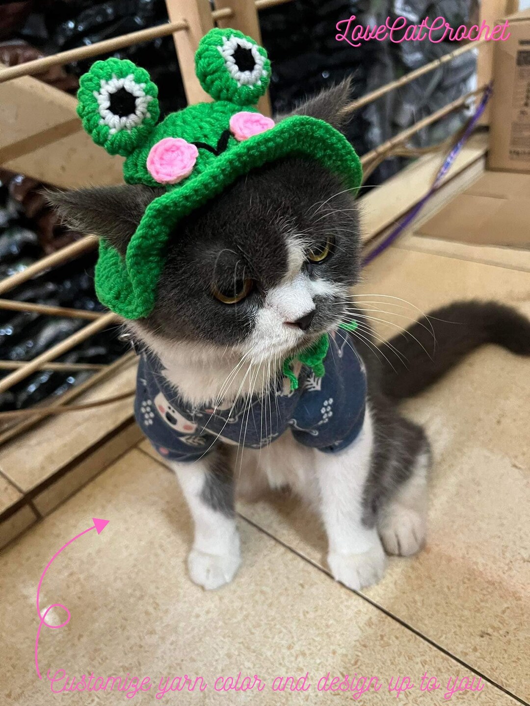 Frog Cat Hat Crochet Hat Cat Cute Frog Crocheted Hat Cat Etsy