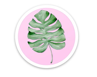 Leaf | Sticker | 2x2" Circle