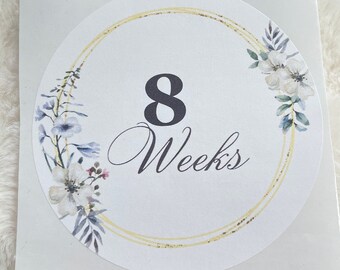 Pregnancy Belly Bump Stickers / FREE Shipping