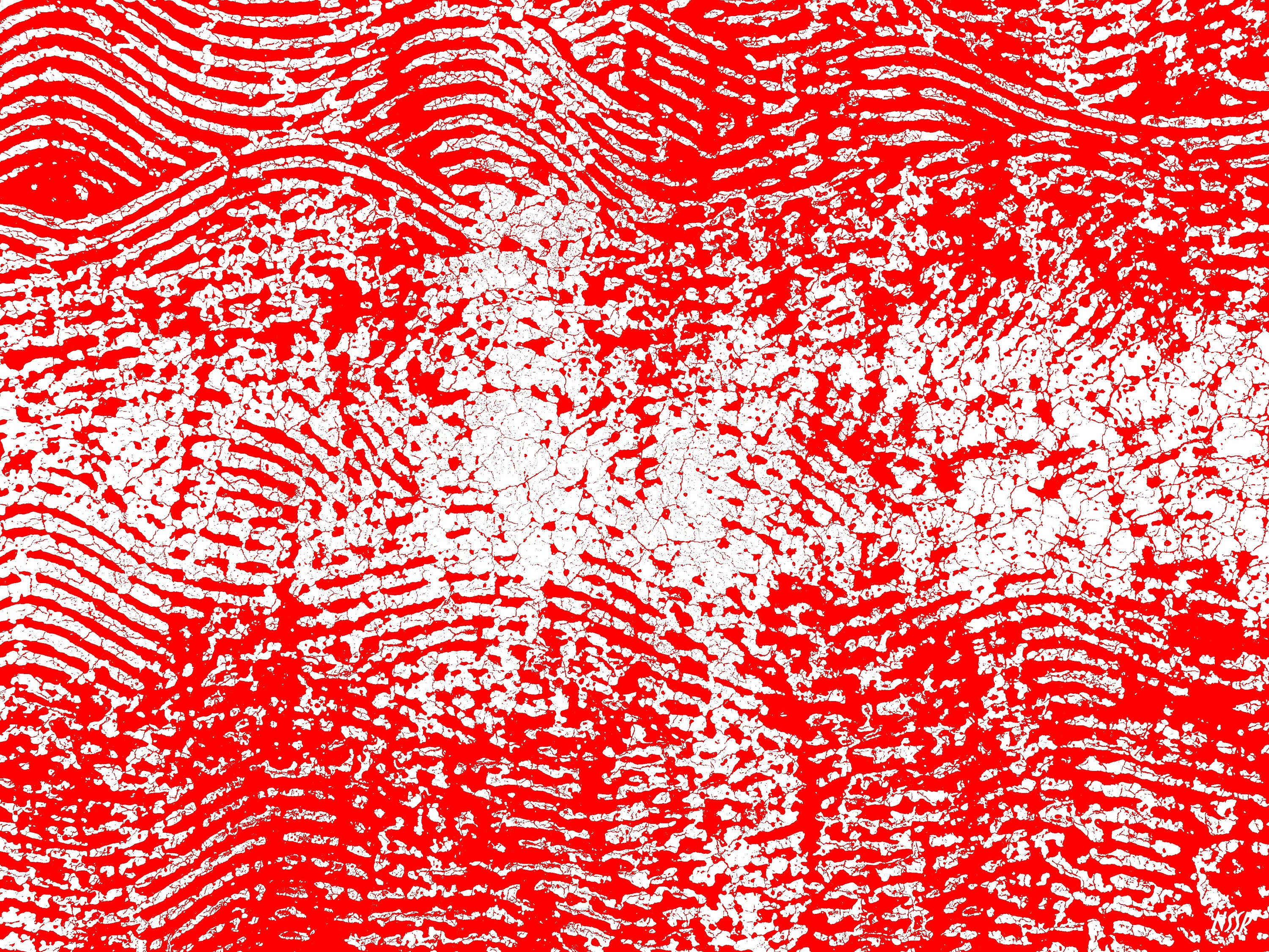 Toile Macadam Cowboy