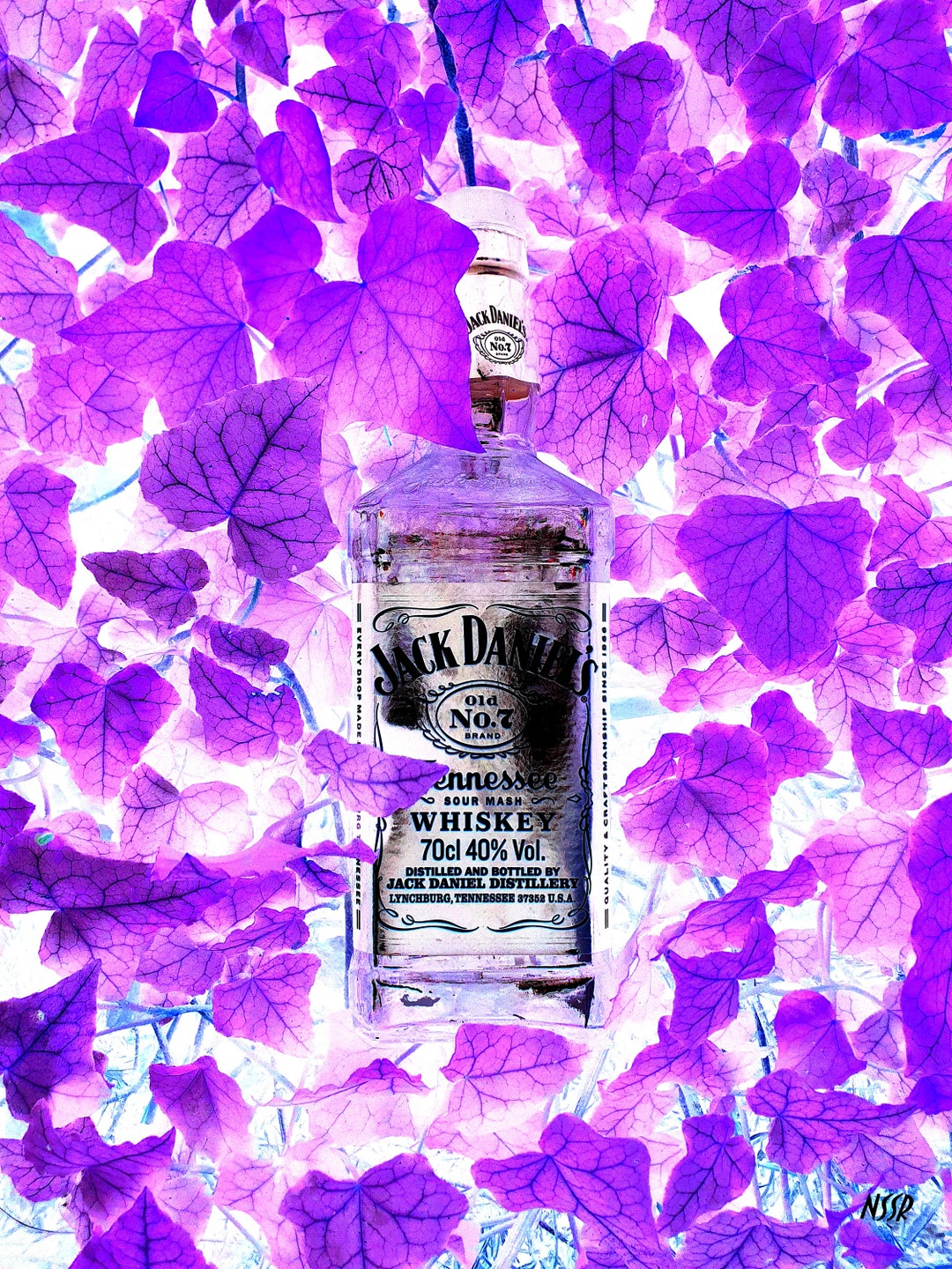 PURPLE JACK CANVAS Etsy