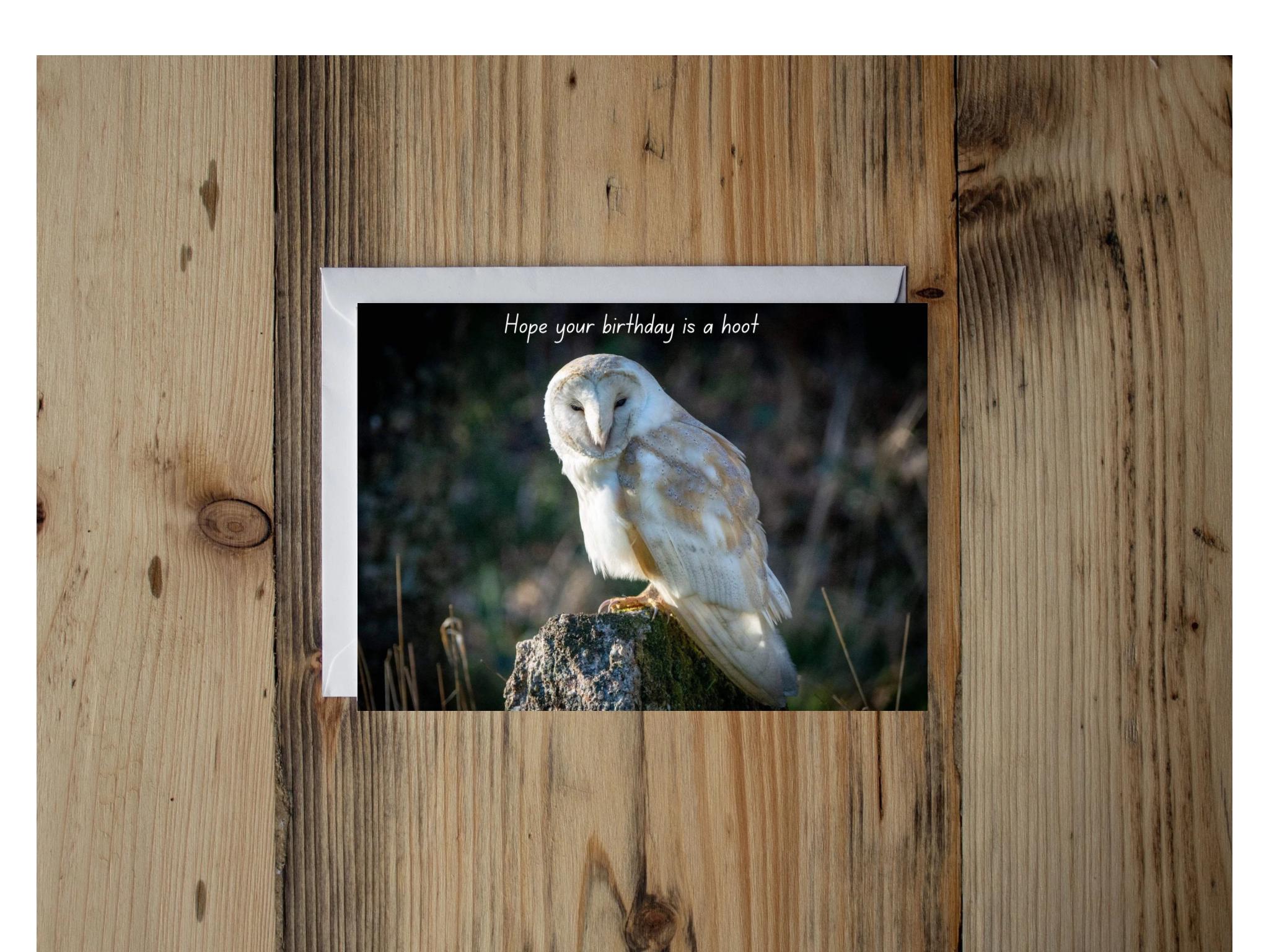 Barn Owl Greeting Card: Lake District Wildlife Photo, Handmade Blank Card