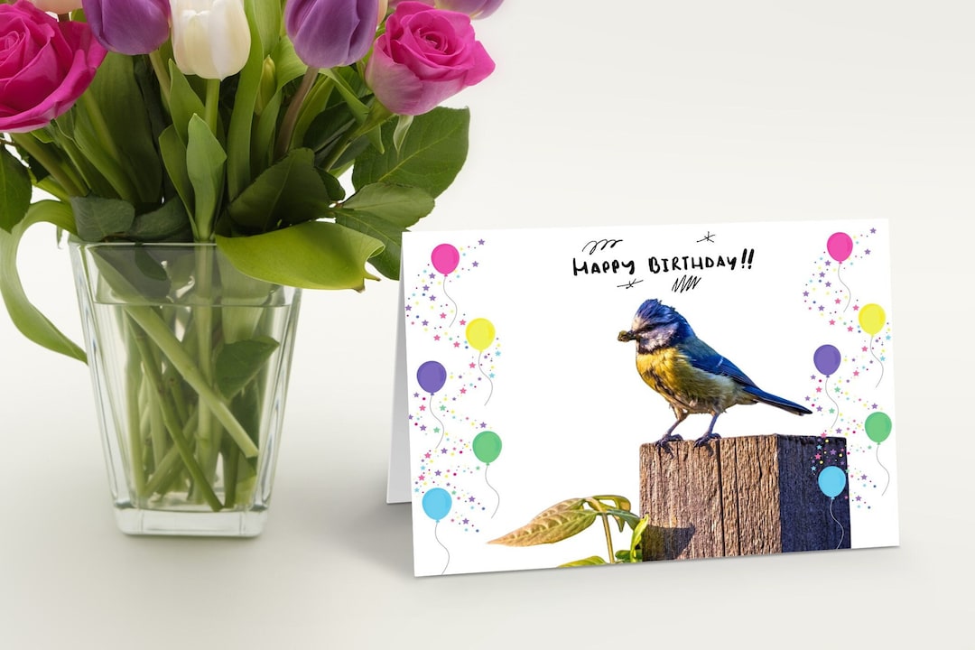Blue Tit Birthday Card - Etsy