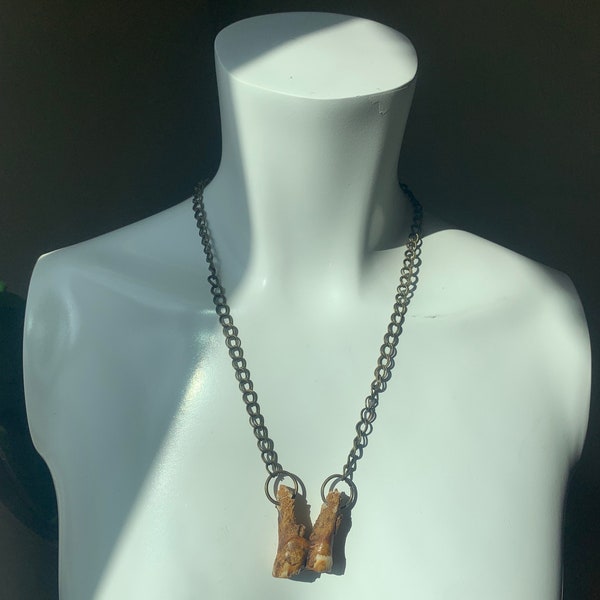 aged cow tooth necklace almost fossilized look