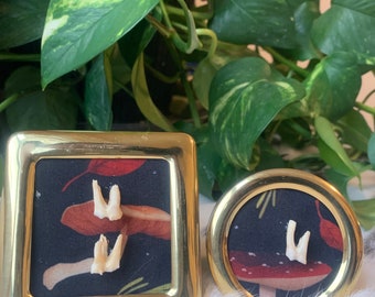 square and small circle whimsical mushroom goat teeth frames