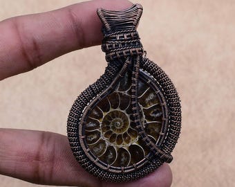May include: A copper wire wrapped pendant featuring a fossilized ammonite. The ammonite is a spiral-shaped shell with a brown and black color pattern.