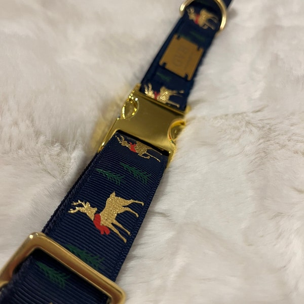 Hundehalsband reindeer Blue Gold