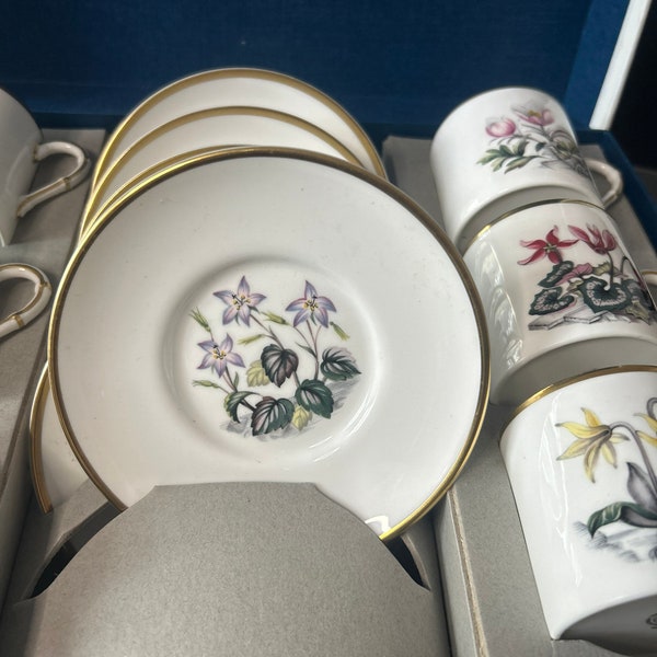 Royal Worcester, Bone China, Angleterre, années 1980 . Service à café en excellent état non utilisé