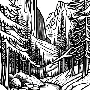 Black and White Yosemite