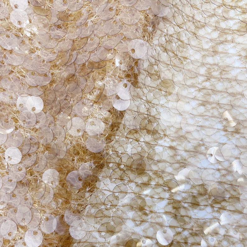 May include: Close-up of a fabric with a shimmering, iridescent texture. The fabric is made of a fine mesh with small, round sequins that create a subtle sparkle. The sequins are arranged in a diagonal pattern, creating a sense of movement and depth.