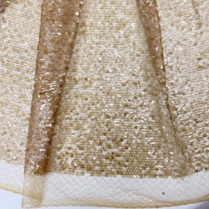 May include: Close-up of a gold sequined fabric with a delicate lace trim. The sequins are small and evenly spaced, creating a shimmering effect.