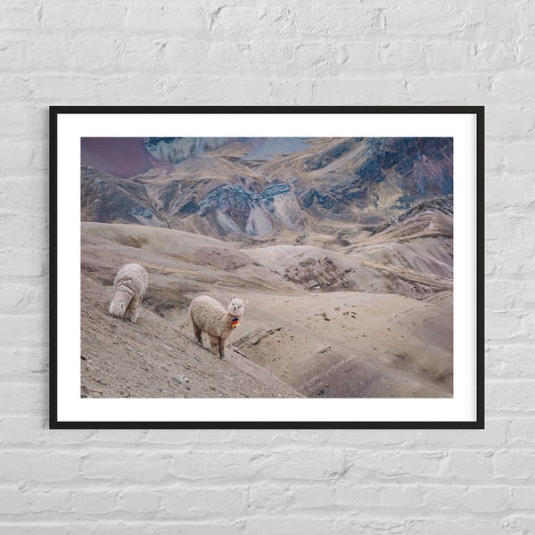 Alpakas Rainbow Mountains Peru | Landschaft Anden  | Digitales Produkt  | Reise Print | Wandbild Fotografie Bilderwand Kunstdruck | Boho